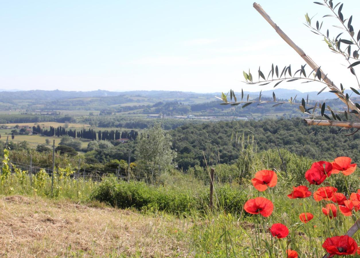 Tuscany Life Terricciola Esterno foto